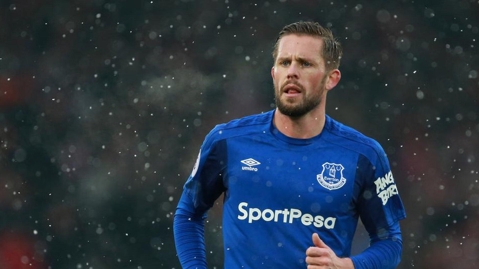 法甲新人崭露头角：未来巨星闪耀绿茵！，法甲队员